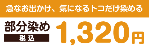 急なお出かけ、気になるトコだけ染める 部分染め料金 1,320円税込
