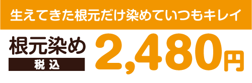 生えてきた根本だけ染めていつもキレイ 根元染め料金(リタッチカラー) 2,480円税込