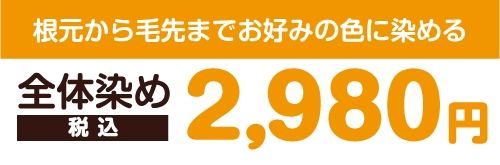 根本から毛先までお好みの色に染める 全体染め(フルカラー)料金 2,980円税込