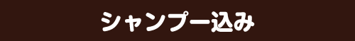 シャンプー込み
